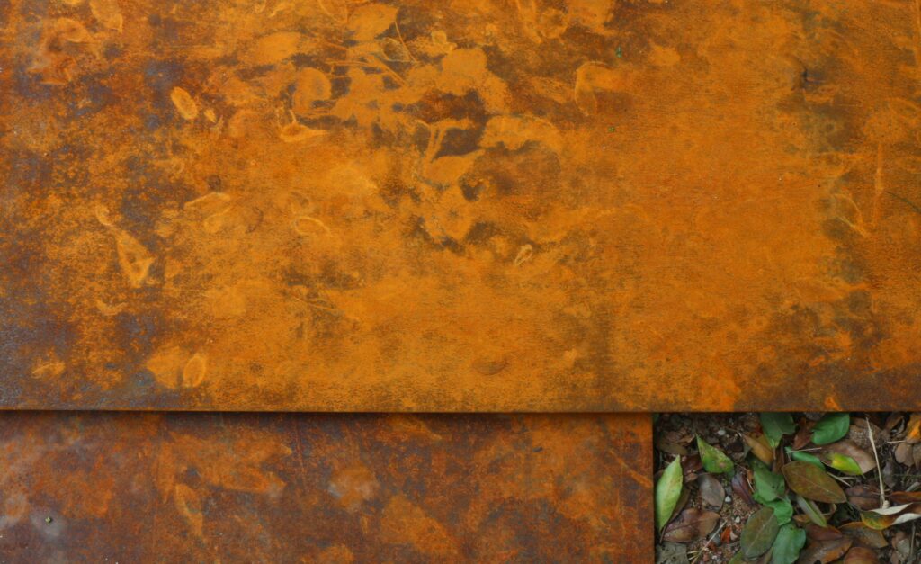 Ricardo Cardoso _ Instituto de Arquitetos do Brasil _ Ponto de Cultura Solar do IAB